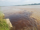 Tổng công ty Giấy Việt Nam: Có đang đầu độc sông Hồng?