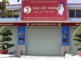 Kon Tum: Công bố kết luận vụ Công ty Sâm Việt Nam có 10 héc ta Sâm Ngọc Linh