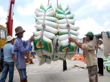 Xuất cấp hơn 3.500 tấn gạo hỗ trợ hai tỉnh Quảng Bình, Quảng Ngãi