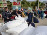 Xuất gạo dự trữ quốc gia cho 2 tỉnh trong dịp Tết Nguyên đán Canh Tý