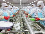 Xuất khẩu của Việt Nam lập kỷ lục bất chấp đại dịch Covid-19