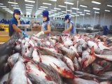 Xuất khẩu thủy sản Việt Nam vượt mốc 10 tỷ USD trong 11 tháng