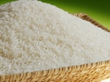 Gạo Việt giảm mạnh xuất khẩu sang Trung Quốc