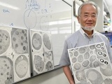 Giải Nobel Y học 2016 xướng danh nhà khoa học 71 tuổi đến từ Nhật Bản