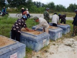 Vụ đóng đinh lên mộ ở xã Lộc Thủy: Tiếp tục truy tìm kẻ tình nghi