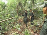 Điều tra vụ 3 cán bộ bảo vệ rừng bị bắn chết ở Đắk Nông