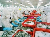 Thủy sản Việt xuất ngoại dự báo đạt 7 tỷ USD trong năm nay