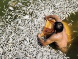 Giải pháp nào xử lý hầu hết các hồ nước của Hà Nội đang ô nhiễm nặng?