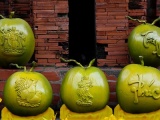 Dừa Song Kê giá tiền triệu mỗi trái vẫn 'hút khách'