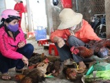 Cấm bán gà vịt sống và giết mổ gia cầm tại chợ, liệu có khả thi?