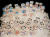 Đột phá mới: Phát minh thành công thuốc làm “tan chảy” tế bào ung thư
