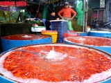 Chợ Sở Thượng đỏ rực cá chép ngày lễ cúng tiễn Táo quân