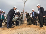 Chủ tịch nước phát động 'Tết trồng cây đời đời nhớ ơn Bác Hồ'