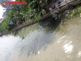 Sông Cái Khế, Cần Thơ “gào khóc” vì ô nhiễm nguồn nước
