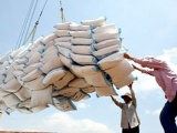 'Tốn 20.000 USD chạy giấy phép xuất khẩu gạo': Bộ trưởng Công Thương chỉ đạo làm rõ thông tin