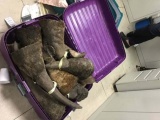 Phát hiện hơn 100kg sừng tê giác tại sân bay Nội Bài