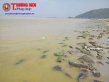 Nước biển có màu vàng đục bất thường ở Thừa Thiên Huế