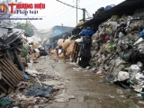 Hưng Yên: 'Báo động đỏ' ô nhiễm ở làng nghề tái chế nhựa từ rác thải