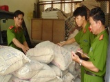 Phát hiện 2 tấn xi măng và bao bì xi măng giả tại Nghệ An