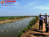 Phát hiện dịch cúm H5N6 trong trại vịt ở Phú Lộc, Thừa Thiên Huế