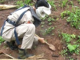 Quảng Trị: Cuốc đất làm vườn, phát hiện 22 quả bom bi chùm cực nguy hiểm