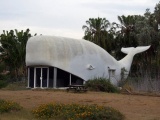 Những kiến trúc kỳ thú “đội lốt” động vật trên thế giới
