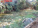Thừa Thiên Huế: Dòng sông chết, bốc mùi xú uế 'hành' cuộc sống người dân