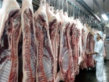 Tăng kích cầu, cấp đông và chế biến để 'giải cứu' thịt lợn rớt giá