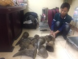 “Trùm” buôn sừng tê giác Việt Nam bị bắt giữ