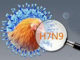 Virus cúm A/H7N9 lây truyền nhanh hơn gấp 1.000 lần tại Trung Quốc