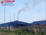Quảng Trị: Nhà máy chế biến bột cá 'đầu độc' người dân, xả thải gây ô nhiễm nghiêm trọng
