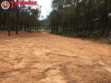 Trưởng phòng Hành chính HĐND tỉnh Hà Tĩnh “phá rừng” làm khu sinh thái không phép?