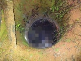 Đắk Lắk: Phát hiện nam thanh niên chết bí ẩn dưới giếng nước tưới cà phê
