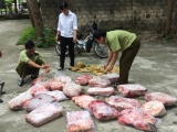 Nghệ An: Phát hiện hơn 400kg nội tạng bốc mùi trên quốc lộ 1A
