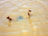 Bình Định: Cho con ra sông tập bơi, hai cha con cùng chết đuối thương tâm