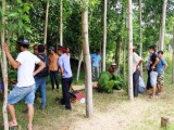 Thừa Thiên- Huế: Băng qua đường sắt, một người đàn ông bị tàu hỏa đâm tử vong