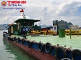 Quảng Ninh: Tàu Đông Bắc 02 hết hạn đăng kiểm vẫn hoạt động 'chui'