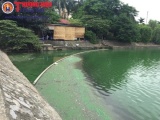 Hà Đông - Hà Nội: Hồ Văn Quán đang bị ô nhiễm trầm trọng