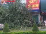 Nghệ An hứng chịu thiệt hại nặng do cơn bão số 2