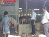 Vissan: Luôn đồng hành cùng người chăn nuôi huyện Củ Chi
