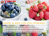 Nước trái cây Viva Fresh: Hàm lượng Polyphenol cao giúp chống lão hóa hiệu quả