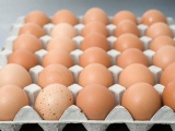 Bê bối trứng bẩn tại châu Âu lan rộng