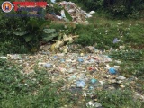 Hà Nội: Người dân khổ sở vì bãi rác tự phát gây ô nhiễm nặng