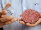 Bill Gates đầu tư sản xuất thịt nhân tạo trong phòng thí nghiệm