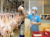 Lô thịt gà đầu tiên của Việt Nam sẽ đến Nhật ngày 9/9
