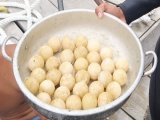 Quảng Nam: Phát hiện rùa đẻ trứng dưới đáy Cù Lao Chàm