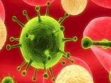 Siêu kháng thể tiêu diệt 99% chủng virus HIV