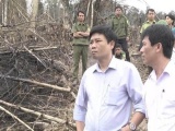 Nghệ An: Đề xuất cách chức trưởng ban tuyên giáo huyện vì rừng bị phá