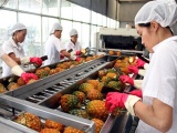 EU - thị trường tiềm năng cho rau quả Việt Nam