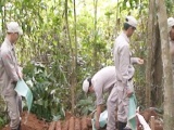 Quảng Trị: Phát hiện 27 quả đạn pháo trong vườn nhà dân